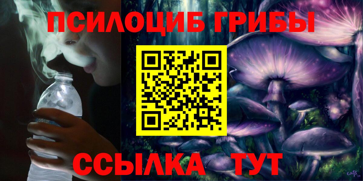 Псилоцибиновые грибы MAGIC MUSHROOMS  Вход с VPN  где можно купить   Малоярославец 