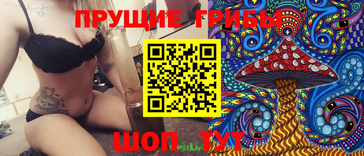 Псилоцибиновые грибы прущие грибы Малоярославец